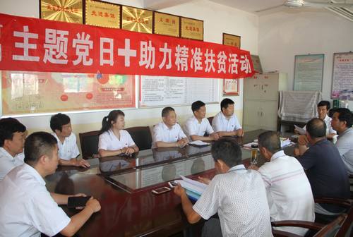 銅煤公司開展“主題黨日+助力精準(zhǔn)扶貧”活動(dòng)