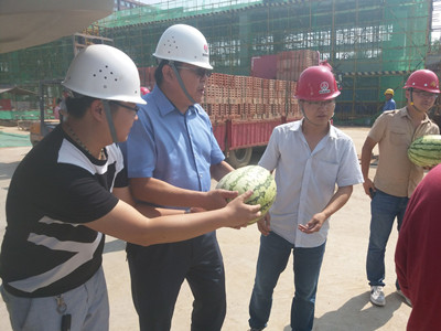 夏日暑正盛     清涼風(fēng)自揚