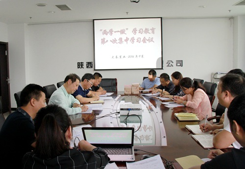 大秦置業(yè)公司 ：“三個三”引領(lǐng)“兩學一做”學習教育常態(tài)化制度化  蓄力“雙特百億”勇爭先