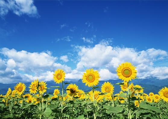 用責(zé)任點(diǎn)燃青春，以擔(dān)當(dāng)成就事業(yè)