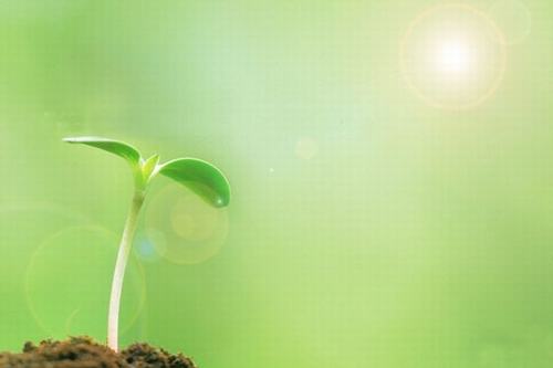 歲生之初，且聽我說