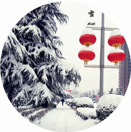 雪，寒冬里的溫柔