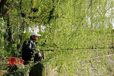 春天，一個多么富有詩意的名字啊！