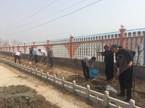 春季綠化為項(xiàng)目部披上“靚裝”