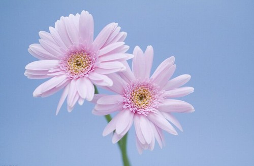 又是一年清明到