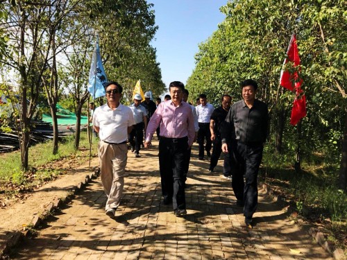 陜西省總工會(huì)黨組書(shū)記、主席白阿瑩一行蒞臨鄠邑區(qū)調(diào)研考察草堂寺健康養(yǎng)老示范項(xiàng)目