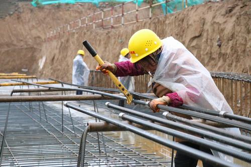 雨天里，“小蜜蜂們”在“筑巢”