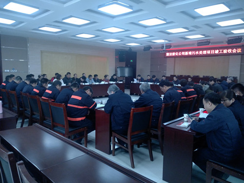 陜煤建設(shè)天工公司蒲城清潔能源新增污水項目通過陜煤集團組織的項目竣工驗收