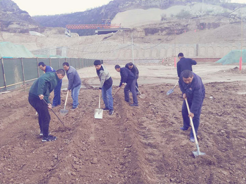 陜煤建設(shè)天工公司土建三部不負(fù)時光“務(wù)農(nóng)”  豐富員工餐桌
