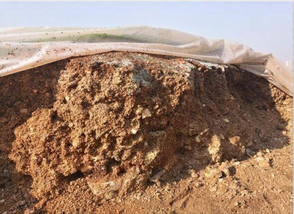 “廢料”變“肥料”，蘑菇包在土壤改良中的應(yīng)用