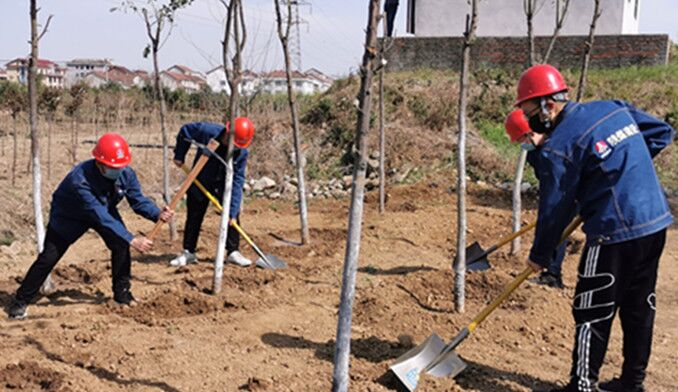今天你植樹了嗎？