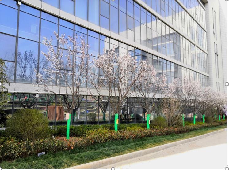 綠宇公司：市場(chǎng)開(kāi)發(fā)增“高”添“新”