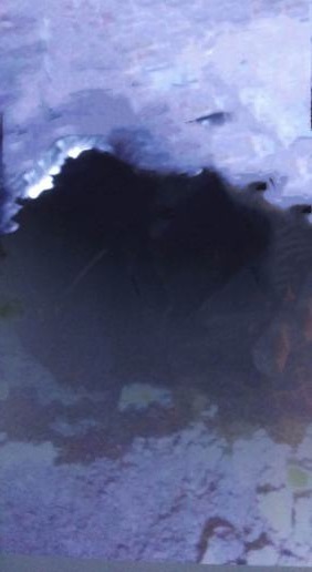 陜煤建設(shè)礦建二公司冶坪項(xiàng)目部一采區(qū)水倉順利貫通