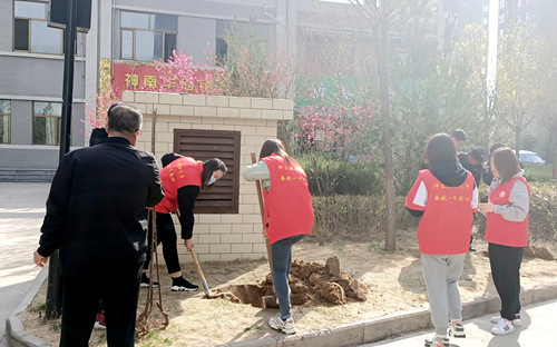 陜煤建設(shè)公司:開展綠化補(bǔ)種 打造美好家園
