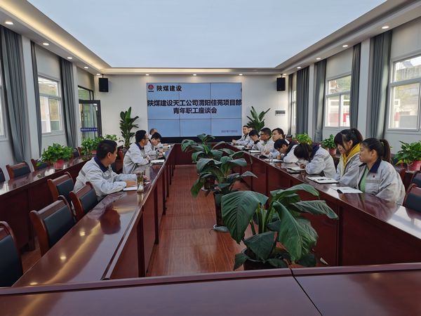 陜煤建設天工公司渭陽佳苑項目“復工復產(chǎn)+青年員工座談”顯芳華