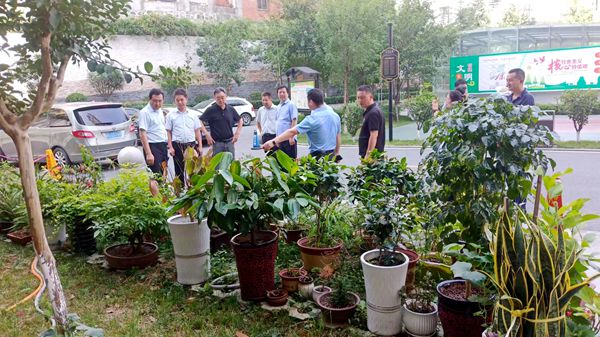 陜煤建設(shè)大秦置業(yè)公司：龍灣水境創(chuàng)文工作迎“大考”