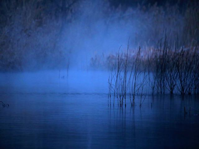 “冬月”你好！