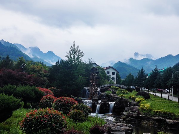 在木王山，遇見21℃的夏天