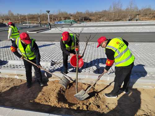 陜煤建設(shè)榆林公司開展“春日有約 ‘益’起種樹 綠色傳承 根植心間”主題黨日活動