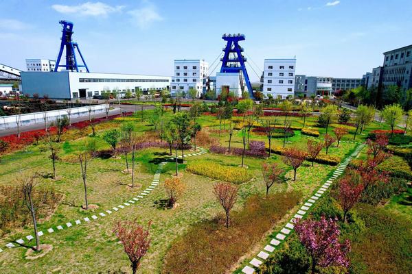 踏尋春天的底色，感知生命的力量