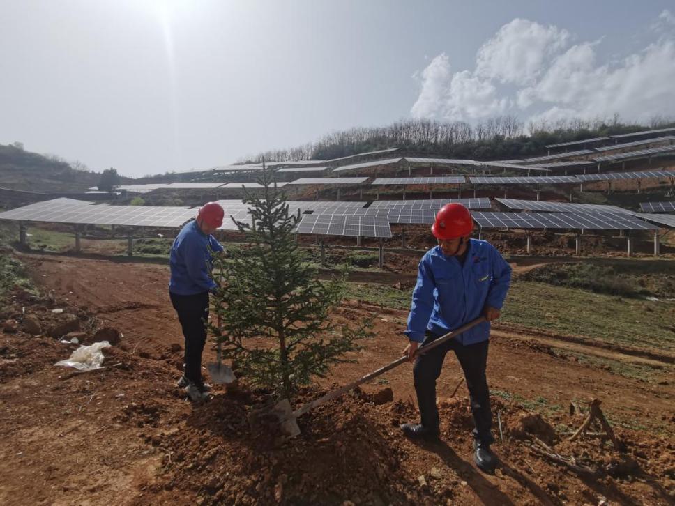 陜煤建設(shè)西北分公司機(jī)電安裝項目部： 全員參與，共筑綠色屏障