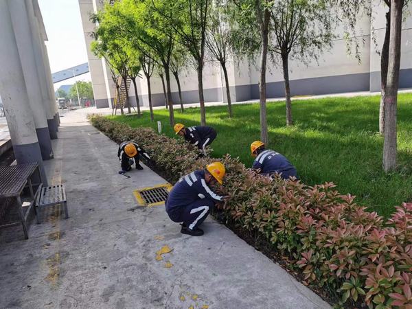 陜煤建設(shè)洗選煤運(yùn)營公司神渭蒲城運(yùn)營項目部：逐”綠”而行 向”綠”而興！廠區(qū)綠化在行動