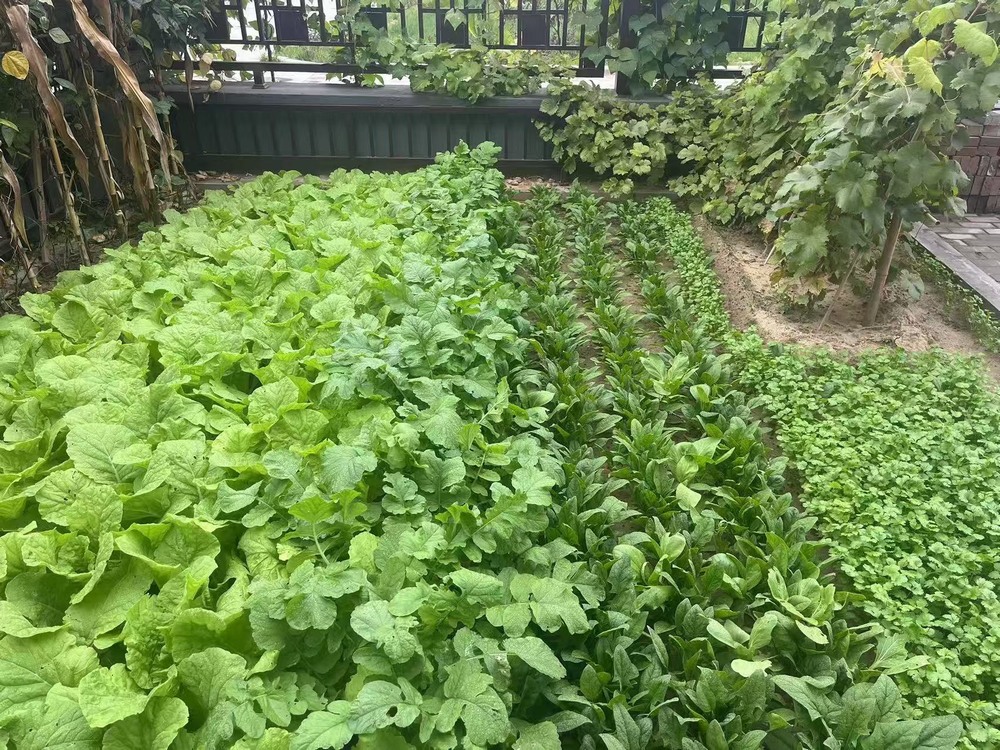 工地之上，家的溫度悄然綻放