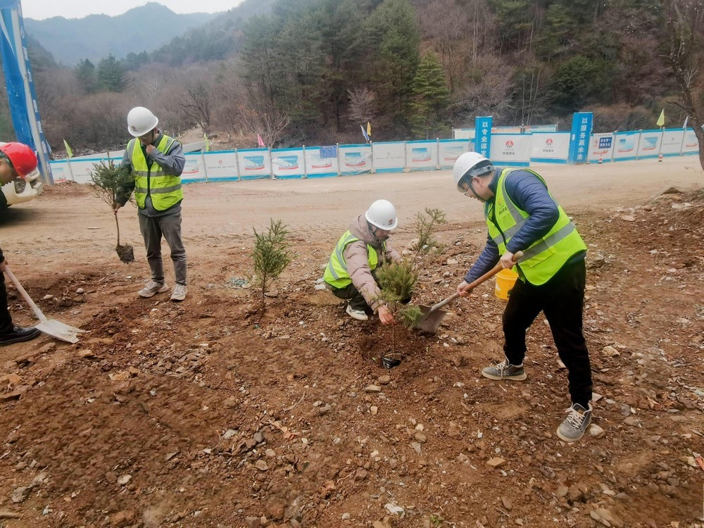 “植”此青綠，陜煤建設(shè)路橋分公司春風(fēng)十里添新林