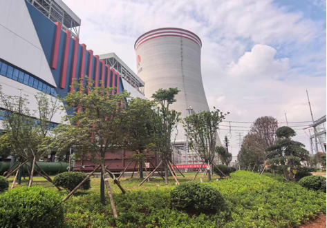 陜煤建設西北分公司：綠意盎然入電廠，生態(tài)建設譜新章