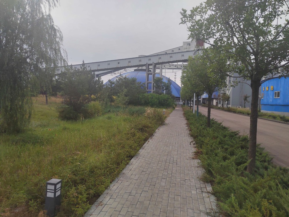 陜煤建設(shè)洗選煤運(yùn)營公司紅柳林洗煤廠項目部：秋韻里的安全堅守與生產(chǎn)奮進(jìn)