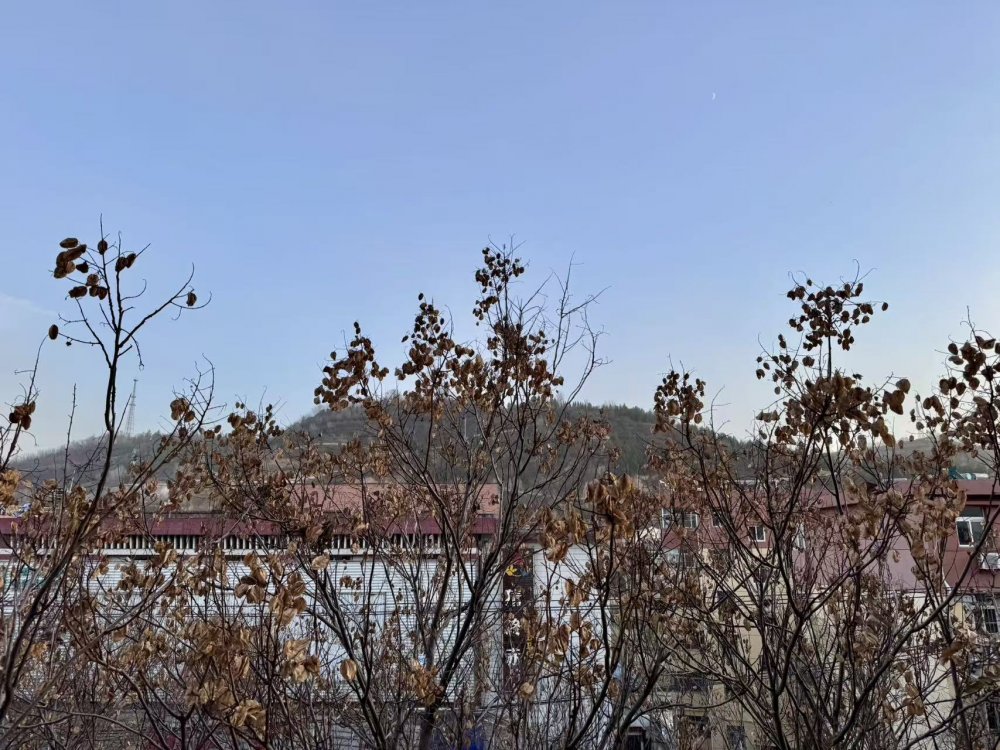 秋意漸濃時，回望來時路