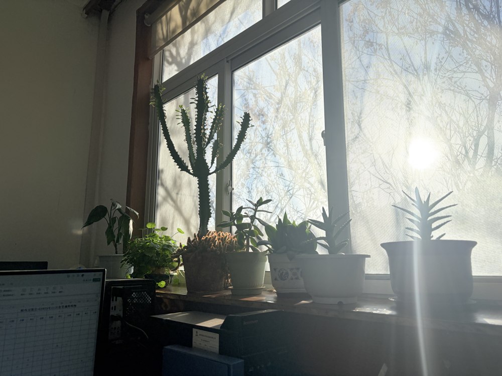 冬陽正好，步履鏗鏘